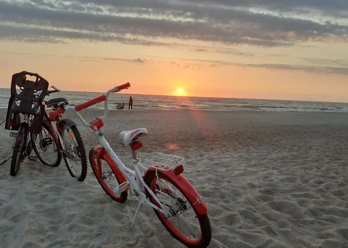 Daire New Apartment, Separate Entrance, Close To The Sea, Prie Juros, Atskiras Iejimas, Parkavimas Palanga